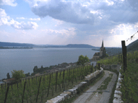 Ligerzer Kirche mit Blick auf die Petersinsel